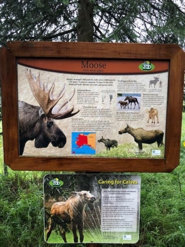 Moose information