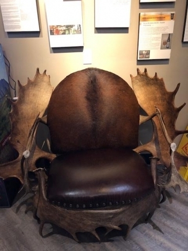 Moose design chair