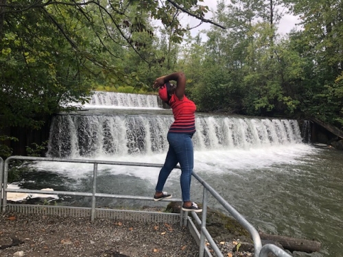 The waterfall at the fishery