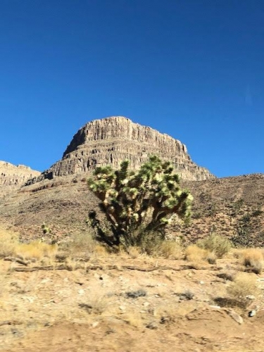 showing mountain side design