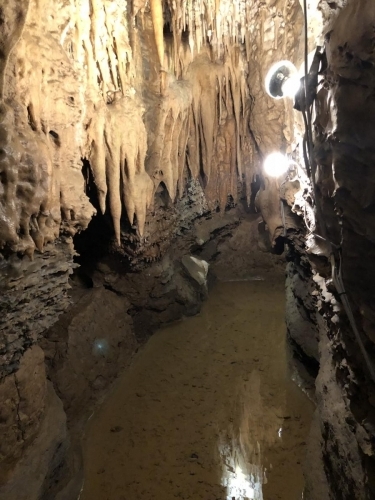 water collection forms a small pond