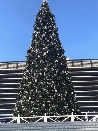 LA City Xmas tree at Disney theatre