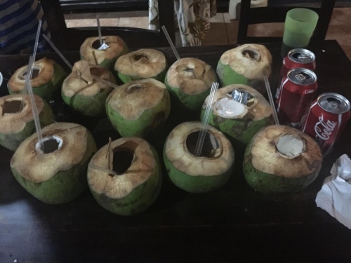 Fresh coconut cocktail (cocoloco) Costa Rica