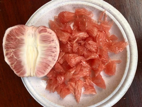 Lustriuos grains , organic grapefruit