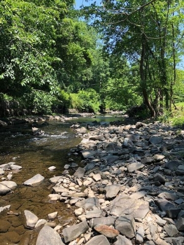 Stream from the falls