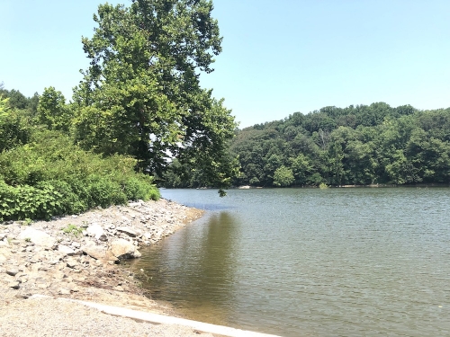 Scenic view of lake