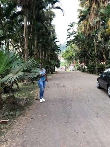 Entrance to the botanic gradens