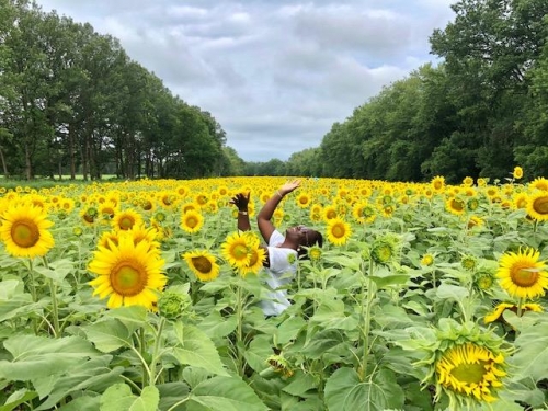 Taking in the fields