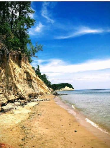 Calvert cliff Maryland