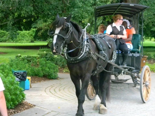 Horse carriage