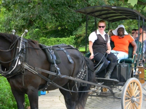 Horse carriage ride in Canada