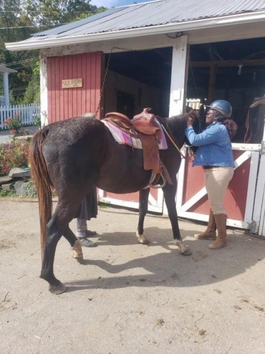 Horse just got saddled