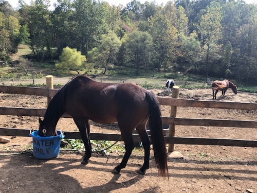 water fill after ridding