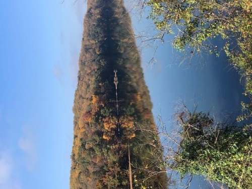 The leaves over the Lake