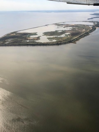 Eastern Neck Wildlife Island