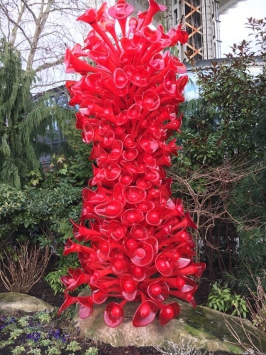 Desert wild flower tower.