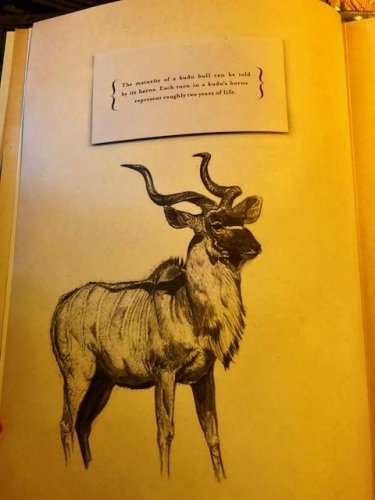 Found in the menu page of Joe sbeer house restarant, great food and great all around design.