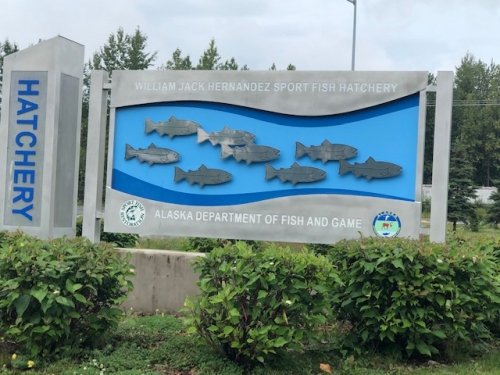 The fisheries for salmon growth and harvest
