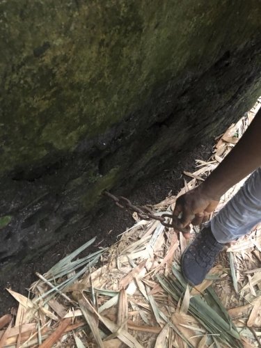 Actual feeding chain can be seen still attached