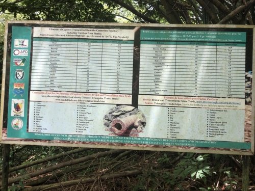 showing ethnicity of captures from the Cameroon territory