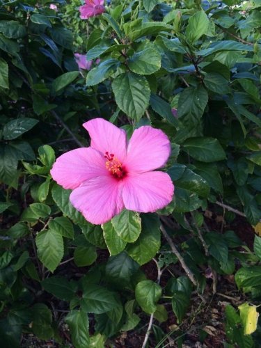 Feb florida bahamas 2016 202