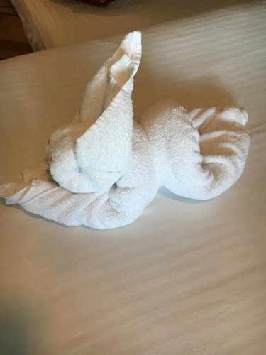 fun towels