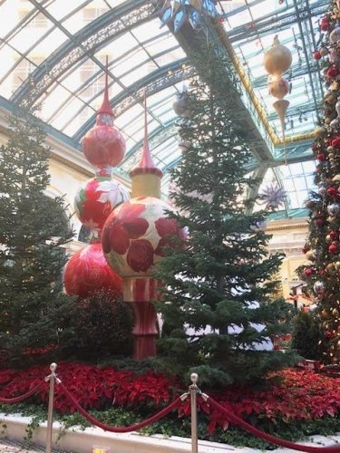 More giant size ornaments showing a pointseter bush