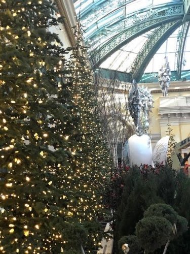 Side look at a beautiful tree with lights