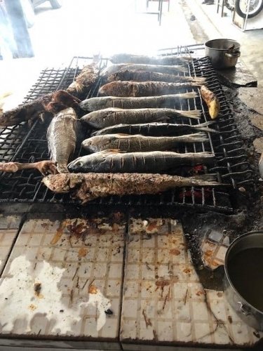 Fresh catch from the ocean to the grill