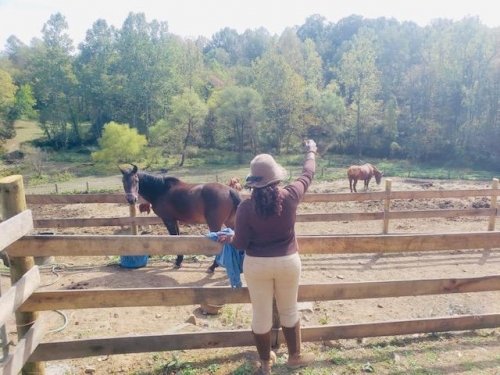 making sure I dropped my horse off to feed.